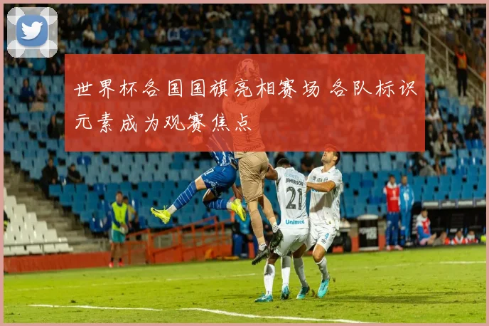 世界杯各国国旗亮相赛场 各队标识元素成为观赛焦点